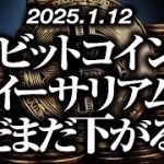 ビットコイン・イーサリアムまだまだ下がる！？［2025/1/12］【仮想通貨・BTC・ETH・FX】※2倍速推奨