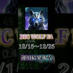 【自動売買】【FX】BTCWOLF運用報告🔥ビットコインで80万の収益化成功！！【BTC WOLF EA】【投資】【副業】#大学生#FX初心者#副業#株#FX#EA#自動売買#投資#FX自動売買
