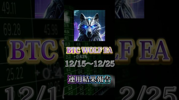 【自動売買】【FX】BTCWOLF運用報告🔥ビットコインで80万の収益化成功！！【BTC WOLF EA】【投資】【副業】#大学生#FX初心者#副業#株#FX#EA#自動売買#投資#FX自動売買