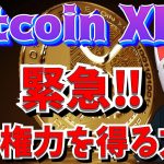 【緊急❗️後編】富と権力を得る方法！ビットコインとXRPに注目！和狐からのメッセージ｜仮想通貨｜２０２５年爆上げか！経済