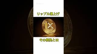 【XRP爆上げ】ここが熱い！リップル爆上げの根拠とは？#btc#xrp#リップル