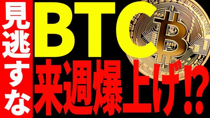 【仮想通貨】ビットコイン遂に抜けた！来週更に爆上げ⁉︎今後の最新戦略を共有！