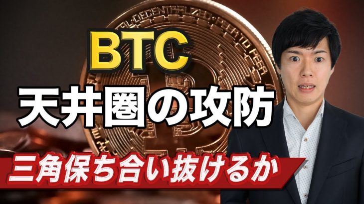 【ビットコイン分析】トランプ相場で乱高下｜トランプコインはミームの主役になりうる？