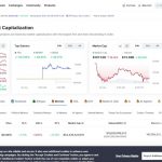 トランプ・メラニア夫人トークンに続く注目のミームコインとは！？