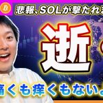 【悲報、SOL逝く】ビットコイン・教科書通りのSell The Fact！当然みなさんもキャッシュ比率を上げてるだろうから痛くも痒くもないでしょ？？【最新の仮想通貨分析を公開】