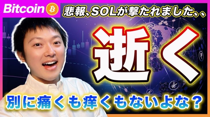 【悲報、SOL逝く】ビットコイン・教科書通りのSell The Fact！当然みなさんもキャッシュ比率を上げてるだろうから痛くも痒くもないでしょ？？【最新の仮想通貨分析を公開】