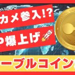 【XRP億り人確定】バンカメ参入で10000倍爆上げ！？