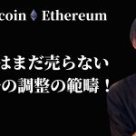 【イーサリアムはまだ売らない】　バブル相場の調整の範疇の認識です　【仮想通貨・ビットコイン相場分析】