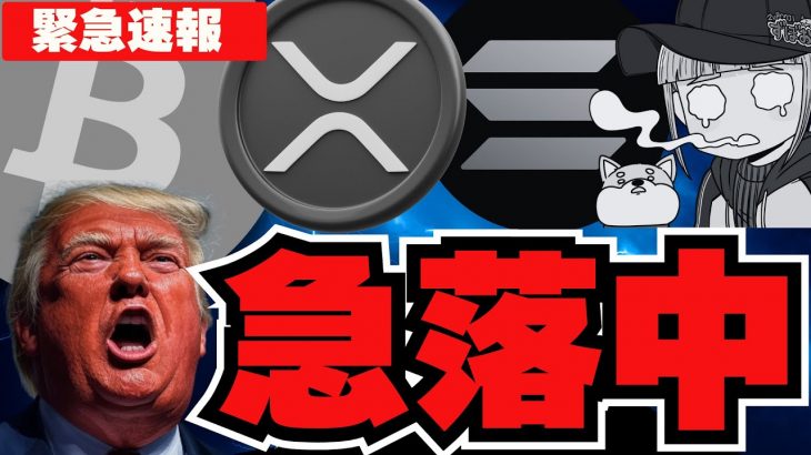 【緊急】急落！仮想通貨バブルは終わり？／ビットコイン・州の準備金が否決！完全な逆風／アルトコイン大暴落。。