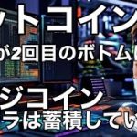 ビットコインここが2回目のボトムになる　ドージコインのクジラは蓄積している注目