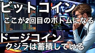 ビットコインここが2回目のボトムになる　ドージコインのクジラは蓄積している注目