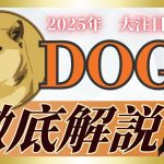 【初心者でもわかる】2025年大注目 ミームコインの王者 DOGE（ドージコイン）徹底解説
