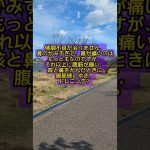 3月30日のシバイヌ #仮想通貨バブル #仮想通貨 #shibainu #暗号資産 #shibainucoin