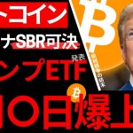 【ビットコイン】4月○日相場爆上げ？アリゾナSBR可決！トランプETF爆誕！情弱はインフレ•増税文句で、未だアセット買わん他力本願野郎w