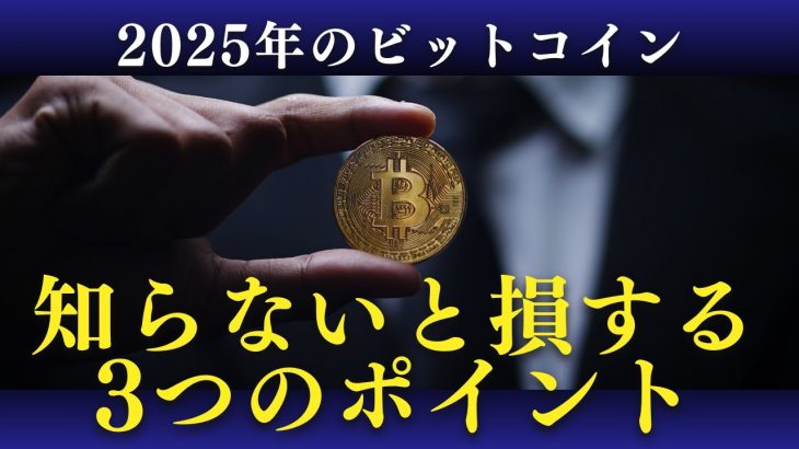 【BTC半減期】2025年ビットコイン「爆上げ or 暴落？」次のバブルを決める3つのポイント！