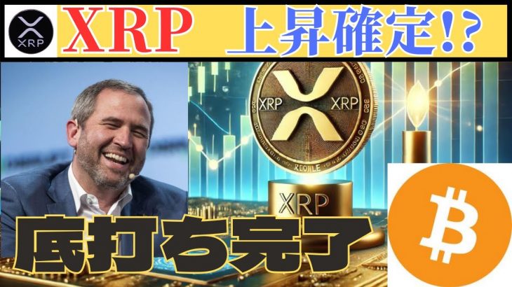 XRP【リップル】超絶爆上げ予兆!? ビットコインが完全底打ちで強気相場突入！