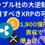 1,900億円買収で爆上げくる！？ – 未来を変える暗号資産「XRP」