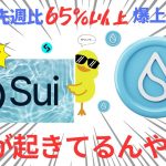 SUIが先週比65%以上爆上げ！何が起きてるんや！？