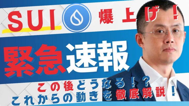 Suiが爆上げ中！なぜ今？本当の理由と今後の価格予測を徹底解説！