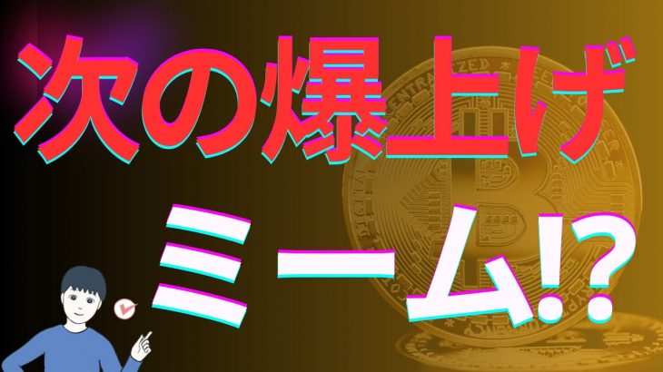 ミームコインにお金が流入か⁉　次の爆上げミームはこれか⁉