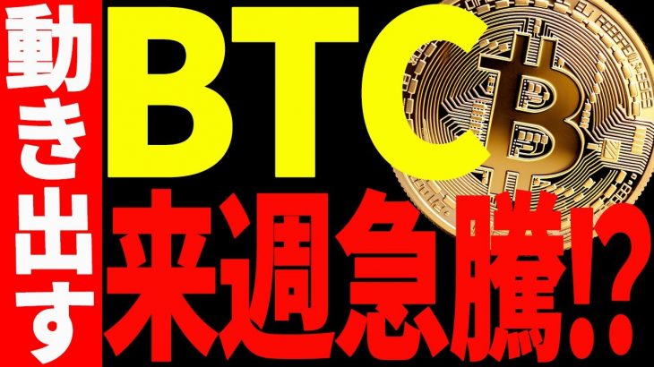 【仮想通貨】ビットコイン来週急騰⁉︎今後意識すべき価格を全て教えます！