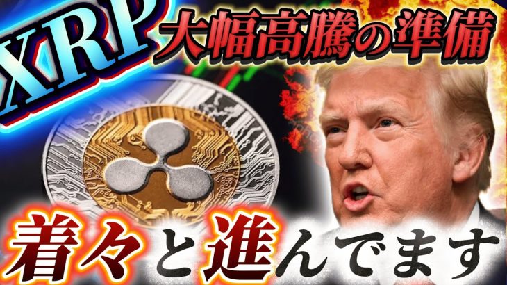 ※2025年XRP飛躍の年※【BTCやETHが爆上げした時と全く同じ道を今歩んでます】