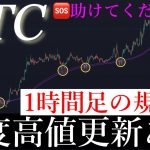 🆘この動画だけは見てください。ビットコインの方向感が決まります。BTCUSD