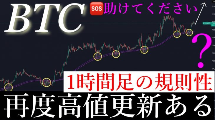 🆘この動画だけは見てください。ビットコインの方向感が決まります。BTCUSD