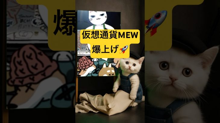 仮想通貨MEW爆上げ🚀ロング大爆益おめでとうございます🎉#mew #doge #仮想通貨 #暗号資産 #暗号通貨 #fx初心者 #fxtrading #投資 #shorts #short