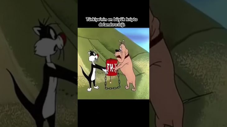 Türkiye’nin en büyük kripto dolandırıcılığı #thodex #bitcoin #btc #ethereum