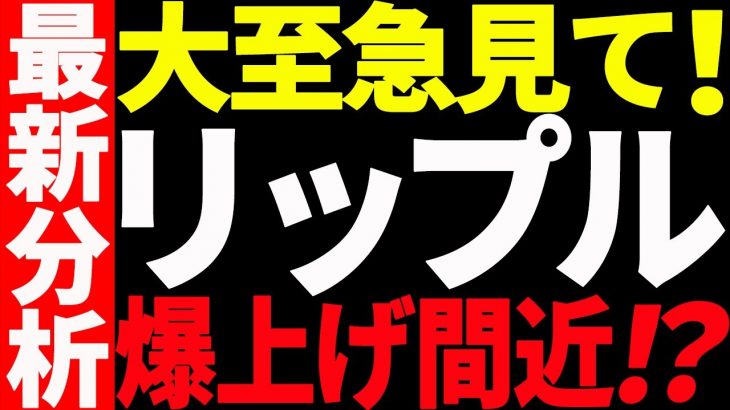 ⚠️大至急見て⚠️リップル（XRP）爆上げ間近⁉︎最新分析を共有します！【仮想通貨】
