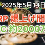 リップル (XRP) 爆上げ間近か！ビットコイン (BTC) 100日以内に13万5000ドル、約2000万円へ！