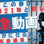 暴落の裏で爆上げ準備完了。次に上がる通貨はこれだ！