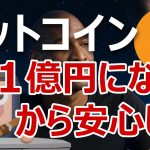 ビットコイン1億5000万円になるヘイズ理論を説明します