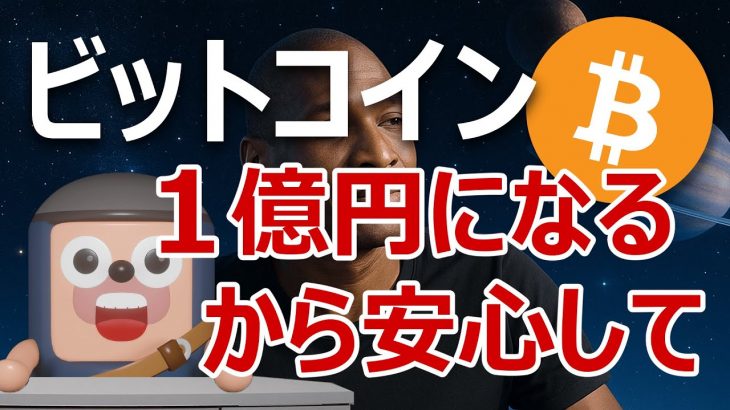 ビットコイン1億5000万円になるヘイズ理論を説明します