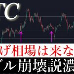 ⚠️ビットコインバブル相場は来ない。2025年後半暴落か。BTCUSD