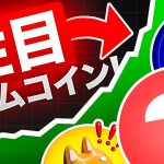 今注目のミームコインって何？6月の最新情報と5つのミームコインをご紹介！！