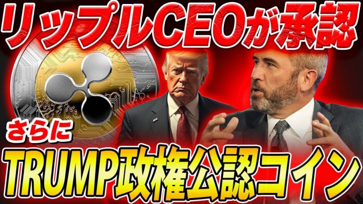 【下落相場になぜ対応できるのか？】BTC含む主要アルトコインXRP・ETH・SOLも下がる中　TRUMP政権注目のコインとリップルCEO直接言及！#xrp #crypto #仮想通貨 #web3