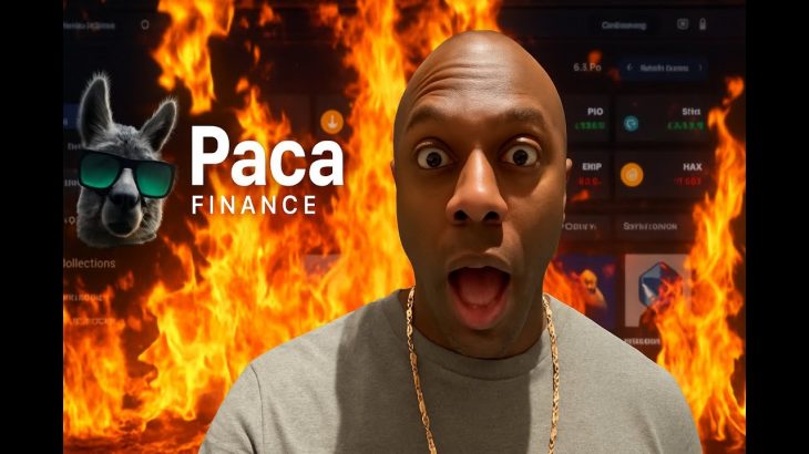 Paca Finance Marketplace Is On Fire!! Latest Update! #pacafinance #passiveincome #crypto #defi