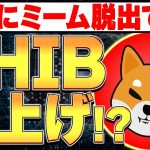 本格プロジェクト始動ついにミームコインから脱出し、SHIB爆上げか！？🚀【シバイヌ】【柴犬】【仮想通貨バブル】【暗号資産】