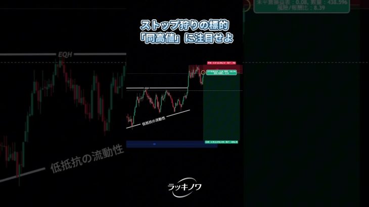 ストップ狩りの標的「同高値」に注目せよ #ビットコイン #投資初心者 #トレーダー #fx初心者 #仮想通貨＃仮想通貨投資 #暗号資産 #暗号通貨 #テクニカル分析