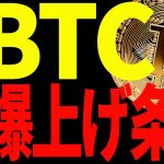 ビットコインが今後爆上げするために必要な条件はずばり○○です！【仮想通貨】