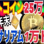 【2025年末】ビットコイン25万ドル！？イーサリアム1万ドルまで到達可能性！？