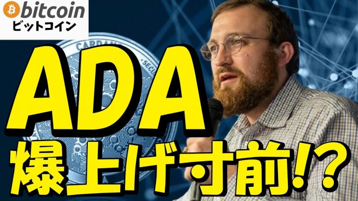 【仮想通貨 ビットコイン】ADA、爆上げカウントダウン開始！Google検索数も異常値…「2020年の再来」もありえる！？（朝活配信1900日目 毎日相場をチェックするだけで勝率アップ）