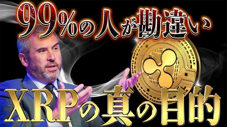 【リップルCEOが語る】なぜXRPが注目されているのか？理由を説明します‼️ #リップル #仮想通貨 #ビットコイン #xrp
