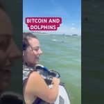 I went to talk Bitcoin with dolphins #bitcoin #bitcoinprice #jetski #florida #vacation #xrp #xrpnews