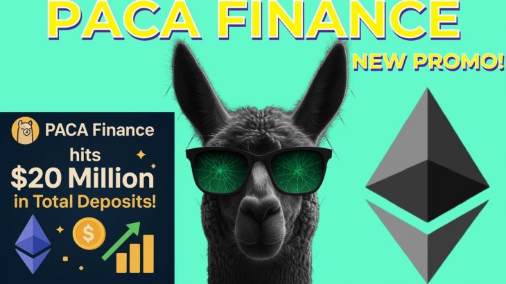 Paca Finance!! Latest Update! #pacafinance #passiveincome #crypto #defi #pacafinance #cryptocurrency