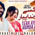 Tera Kise Nal Hunda Piyar | Mohsin Ali Malangi | New Song 2025
