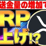 国際送金の量増加で…XRP爆上げか！？🚀【リップル】【仮想通貨バブル】【暗号資産】【副業】【投資】【トレード】