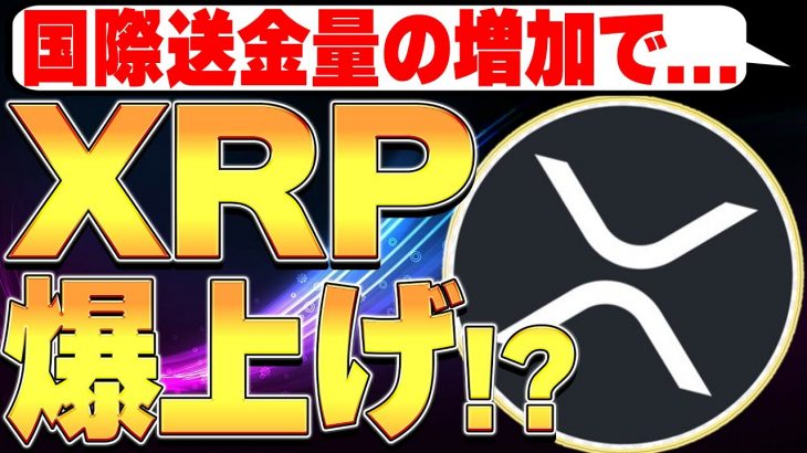国際送金の量増加で…XRP爆上げか！？🚀【リップル】【仮想通貨バブル】【暗号資産】【副業】【投資】【トレード】